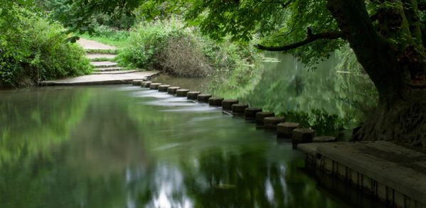 Treat failure as just a stepping stone to success